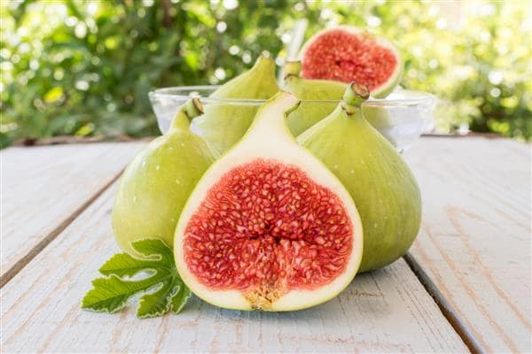 تصویر 1 از خرید انجیر سبز شمال + قیمت باور نکردنی